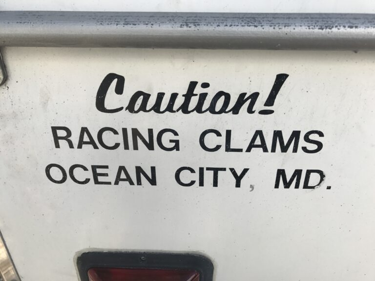 Mikey Clams